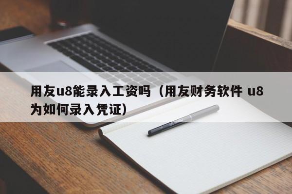 用友u8能录入工资吗（用友财务软件 u8为如何录入凭证）