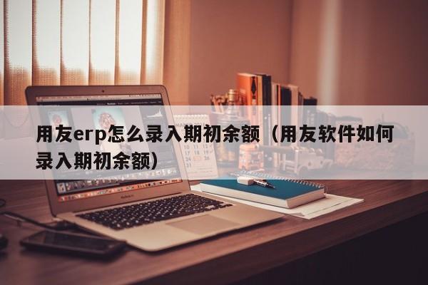 用友erp怎么录入期初余额（用友软件如何录入期初余额）