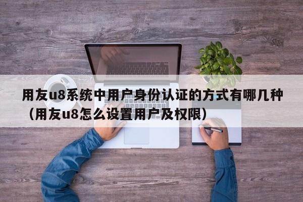 用友u8系统中用户身份认证的方式有哪几种（用友u8怎么设置用户及权限）