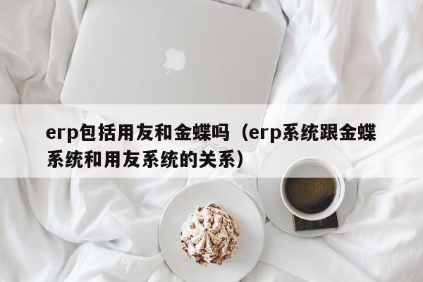 erp包括用友和金蝶吗（erp系统跟金蝶系统和用友系统的关系）