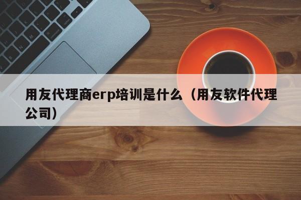 用友代理商erp培训是什么（用友软件代理公司）