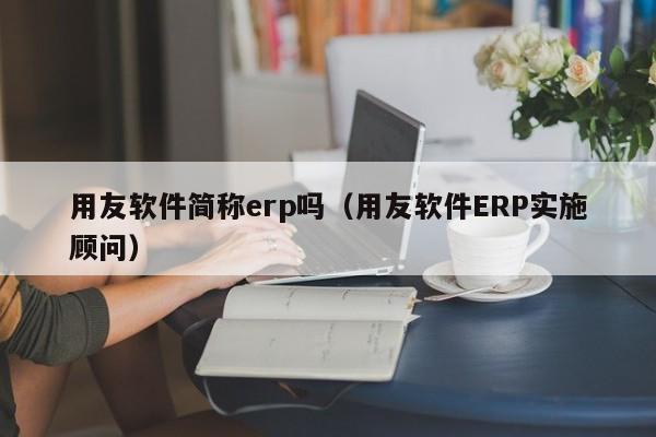 用友软件简称erp吗（用友软件ERP实施顾问）
