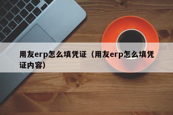 用友erp怎么填凭证（用友erp怎么填凭证内容）