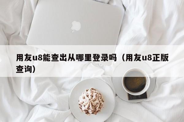 用友u8能查出从哪里登录吗（用友u8正版查询）