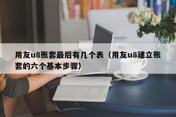 用友u8账套最后有几个表（用友u8建立账套的六个基本步骤）