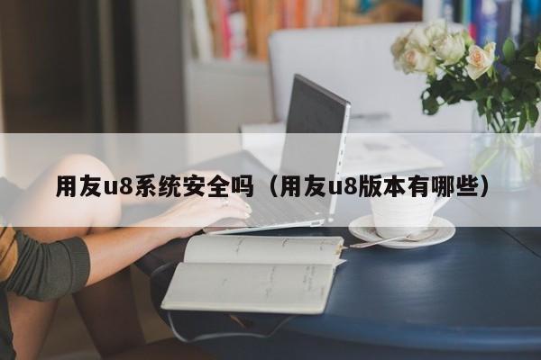 用友u8系统安全吗（用友u8版本有哪些）