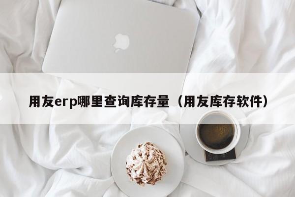 用友erp哪里查询库存量（用友库存软件）