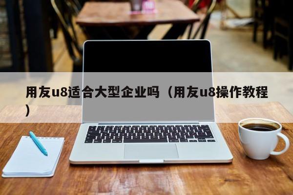 用友u8适合大型企业吗（用友u8操作教程）