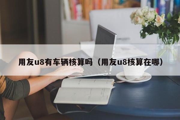 用友u8有车辆核算吗（用友u8核算在哪）