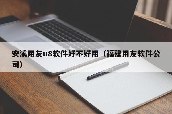 安溪用友u8软件好不好用（福建用友软件公司）