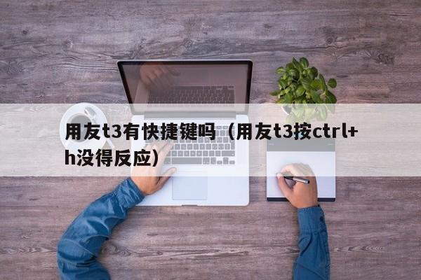 用友t3有快捷键吗（用友t3按ctrl+h没得反应）