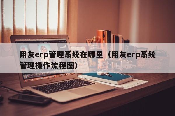 用友erp管理系统在哪里（用友erp系统管理操作流程图）