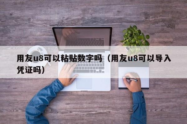 用友u8可以粘贴数字吗（用友u8可以导入凭证吗）