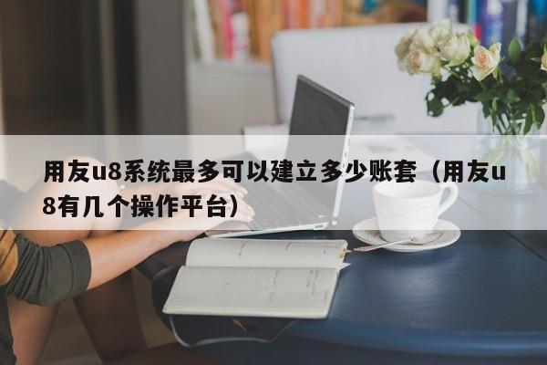 用友u8系统最多可以建立多少账套（用友u8有几个操作平台）