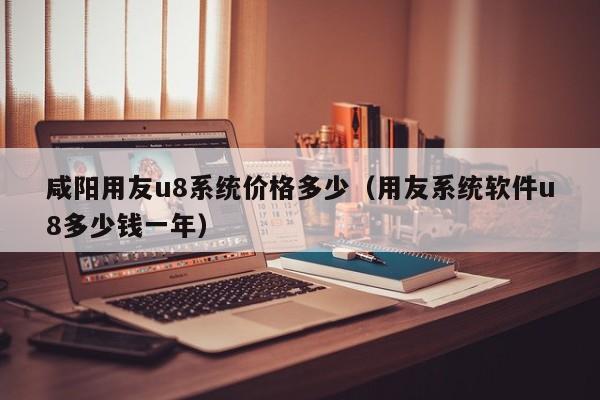 咸阳用友u8系统价格多少（用友系统软件u8多少钱一年）