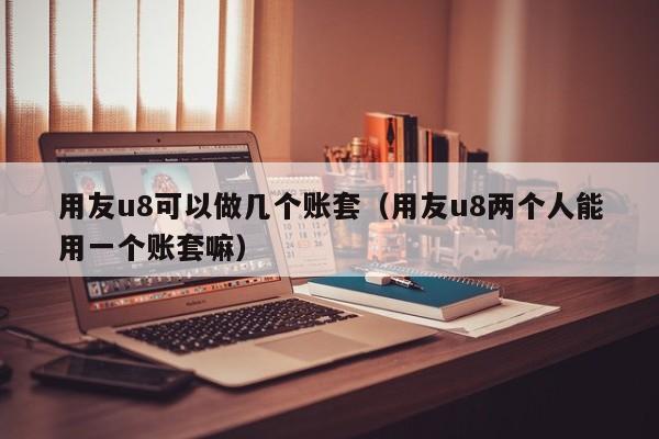 用友u8可以做几个账套（用友u8两个人能用一个账套嘛）