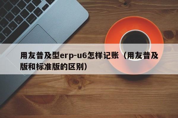 用友普及型erp-u6怎样记账（用友普及版和标准版的区别）