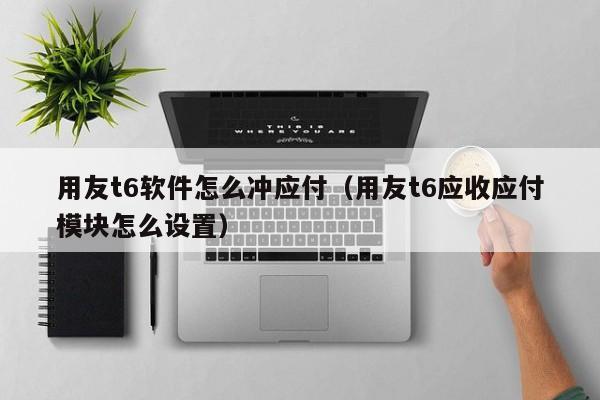 用友t6软件怎么冲应付（用友t6应收应付模块怎么设置）