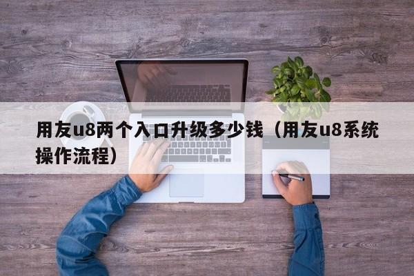 用友u8两个入口升级多少钱（用友u8系统操作流程）