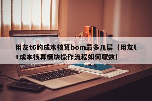 用友t6的成本核算bom最多几层（用友t+成本核算模块操作流程如何取数）