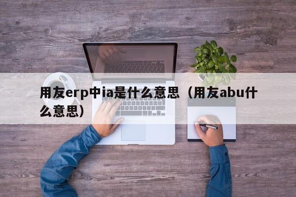 用友erp中ia是什么意思（用友abu什么意思）