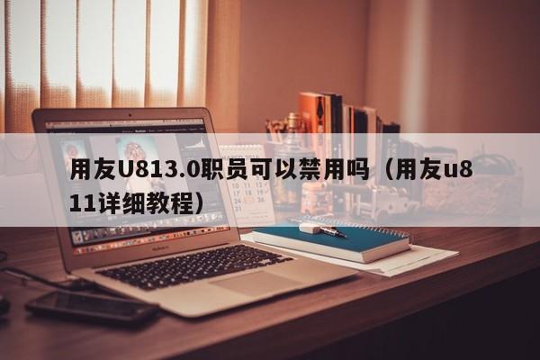 用友U813.0职员可以禁用吗（用友u811详细教程）