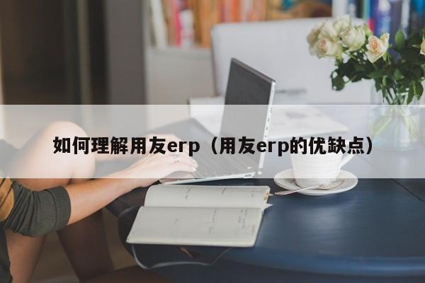 如何理解用友erp（用友erp的优缺点）