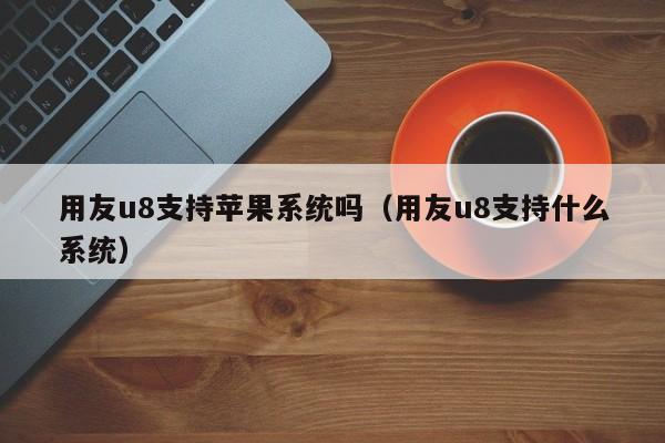 用友u8支持苹果系统吗（用友u8支持什么系统）