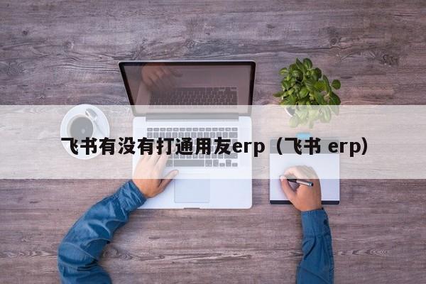 飞书有没有打通用友erp（飞书 erp）