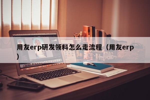 用友erp研发领料怎么走流程（用友erp）