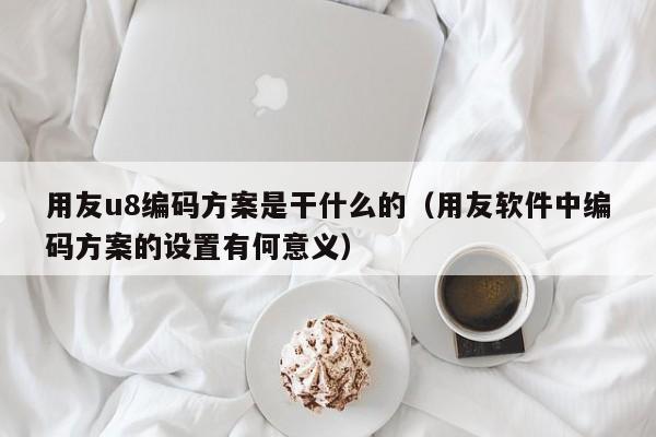 用友u8编码方案是干什么的（用友软件中编码方案的设置有何意义）