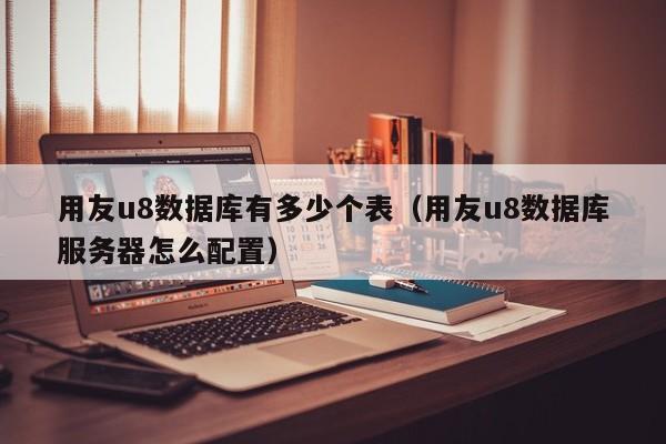 用友u8数据库有多少个表（用友u8数据库服务器怎么配置）