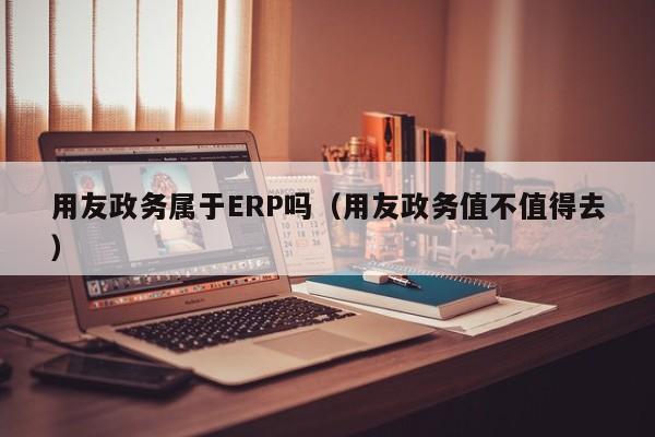 用友政务属于ERP吗（用友政务值不值得去）