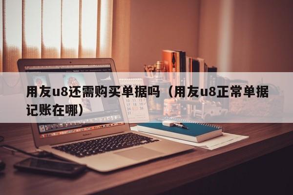 用友u8还需购买单据吗（用友u8正常单据记账在哪）