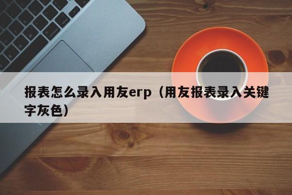 报表怎么录入用友erp（用友报表录入关键字灰色）