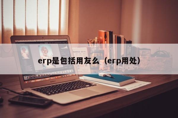 erp是包括用友么（erp用处）