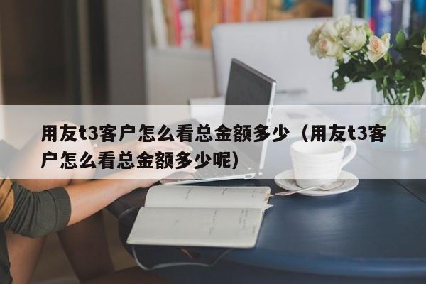 用友t3客户怎么看总金额多少（用友t3客户怎么看总金额多少呢）