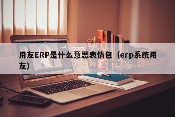 用友ERP是什么意思表情包（erp系统用友）