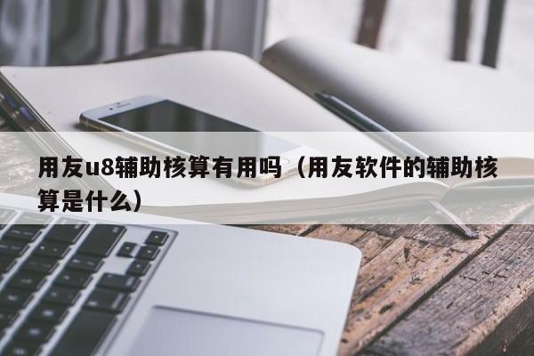 用友u8辅助核算有用吗（用友软件的辅助核算是什么）