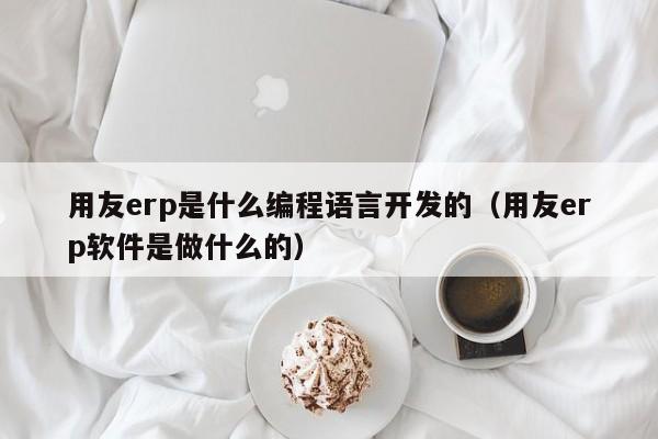 用友erp是什么编程语言开发的（用友erp软件是做什么的）