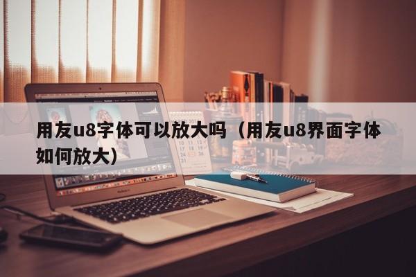 用友u8字体可以放大吗（用友u8界面字体如何放大）