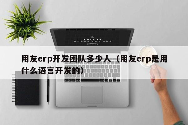 用友erp开发团队多少人（用友erp是用什么语言开发的）