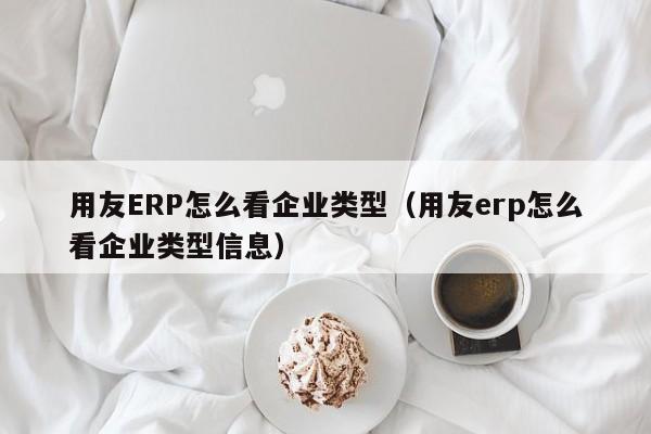 用友ERP怎么看企业类型（用友erp怎么看企业类型信息）