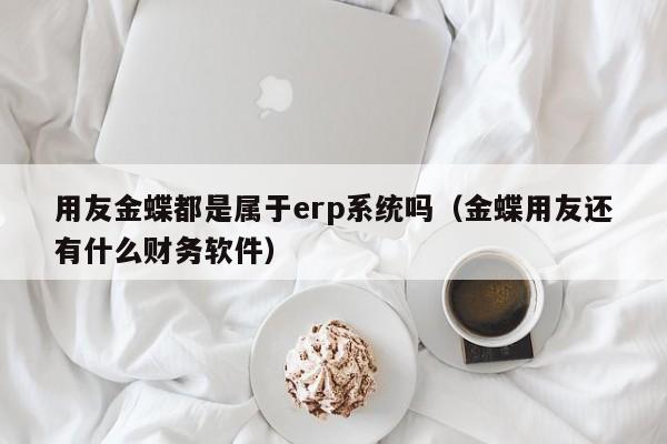 用友金蝶都是属于erp系统吗（金蝶用友还有什么财务软件）