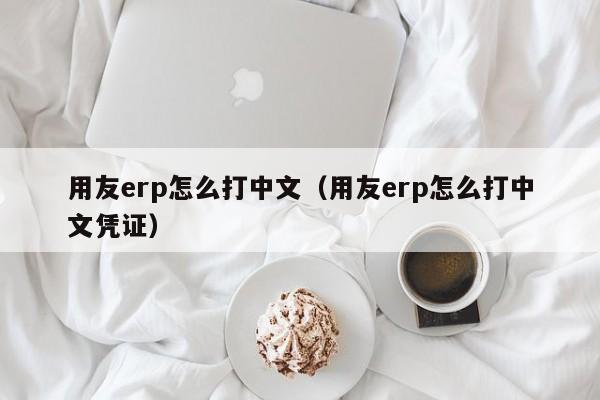 用友erp怎么打中文（用友erp怎么打中文凭证）