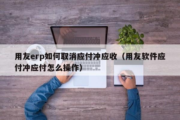 用友erp如何取消应付冲应收（用友软件应付冲应付怎么操作）