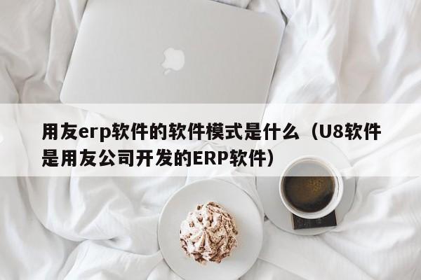 用友erp软件的软件模式是什么（U8软件是用友公司开发的ERP软件）