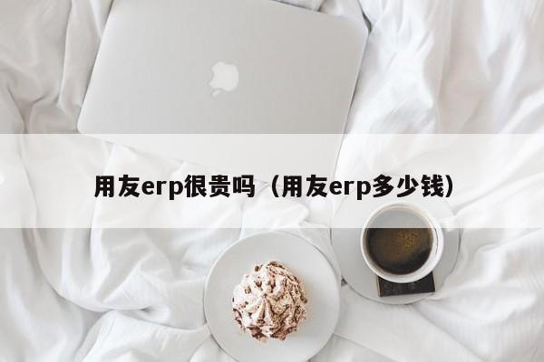 用友erp很贵吗（用友erp多少钱）