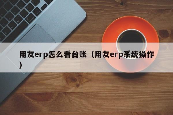 用友erp怎么看台账（用友erp系统操作）