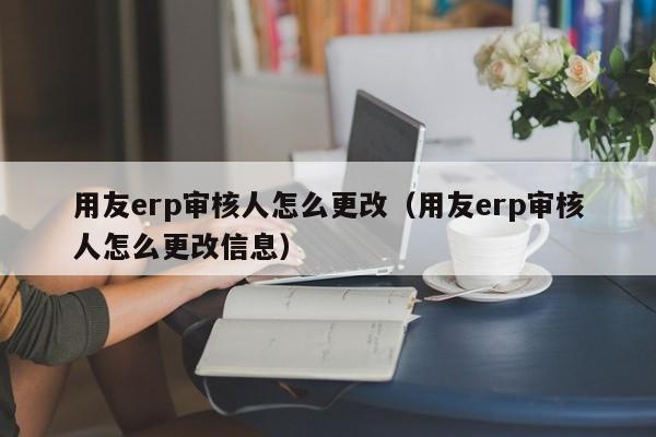 用友erp审核人怎么更改（用友erp审核人怎么更改信息）